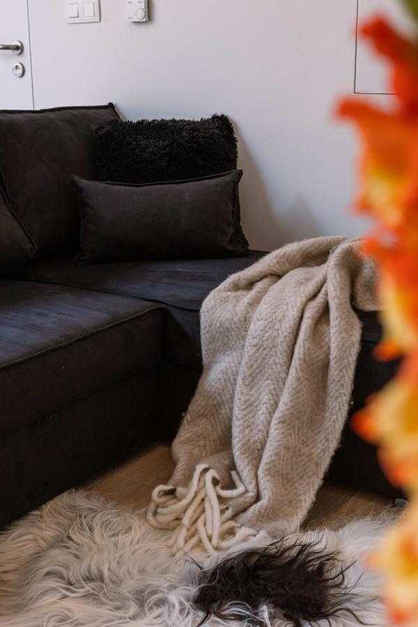 Renovated In The Heart Of Gent